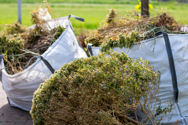 Best Affordable Junk Removal Services  in Morgantown, KY